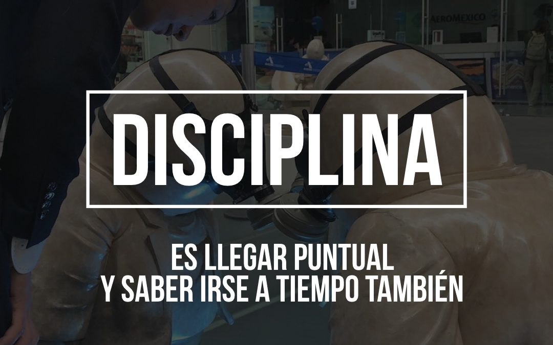 DISCIPLINA
